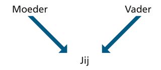 schema van afkomst