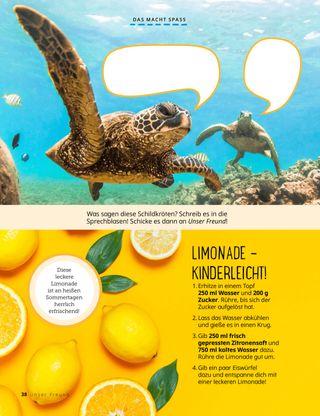 Foto von Schildkröten und Foto von Zitronen