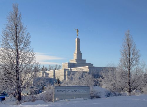 The Edmonton Alberta Temple on a sunny winter day, with large bare trees in the foreground.