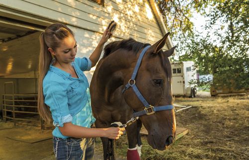 young woman with horse