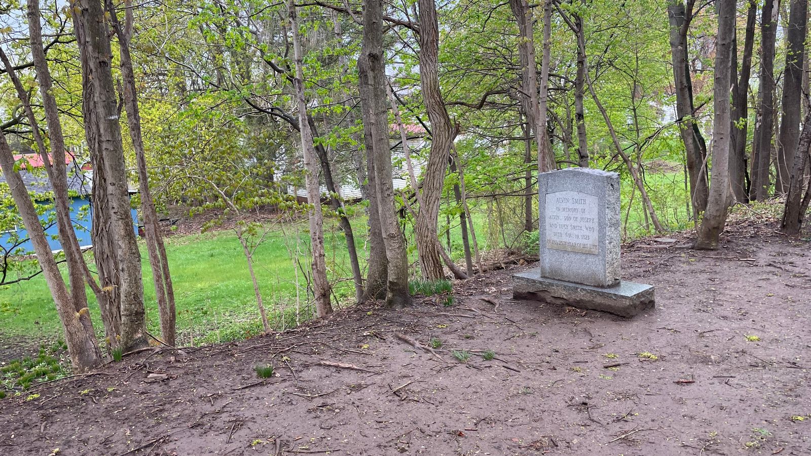 An engraved granite headstone on a muddy path. The engraving reads ‘Alvin Smith, in memory of Alvin, son of Joseph and Lucy Smith, who died Nov. 19, 1823, in his 25th year of his life.’ 