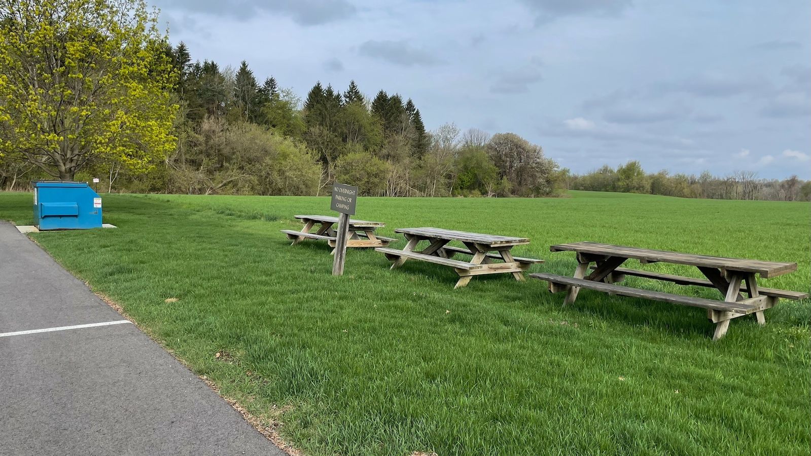 Wood picnic benches in a field next to a parking lot. 