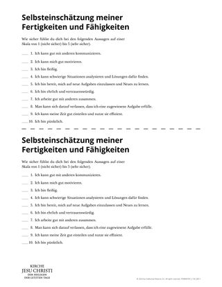 Selbsteinschätzung meiner Fertigkeiten und Fähigkeiten