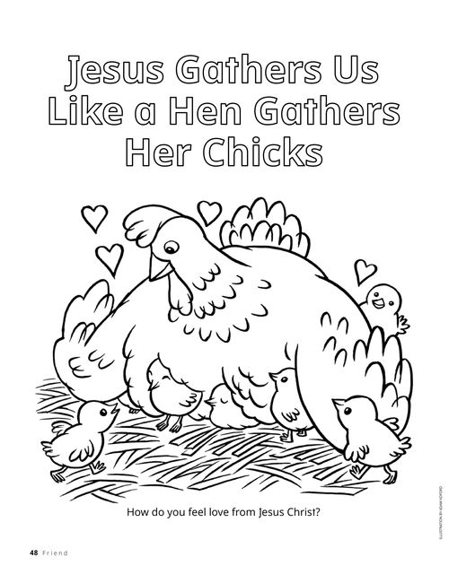 Coloring page of a hen and chicks