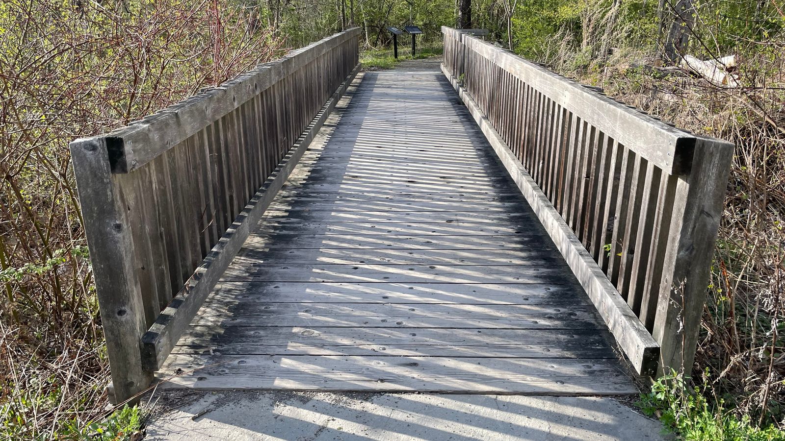 A path that transitions into a wooden bridge leading to a forest. 