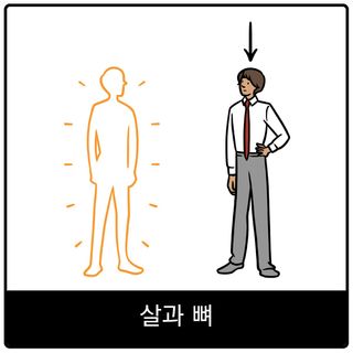 살과 뼈 복음 이미지