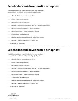 Sebehodnocení dovedností a schopností