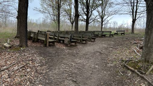 Rows of wooden benches in a grove of trees. 