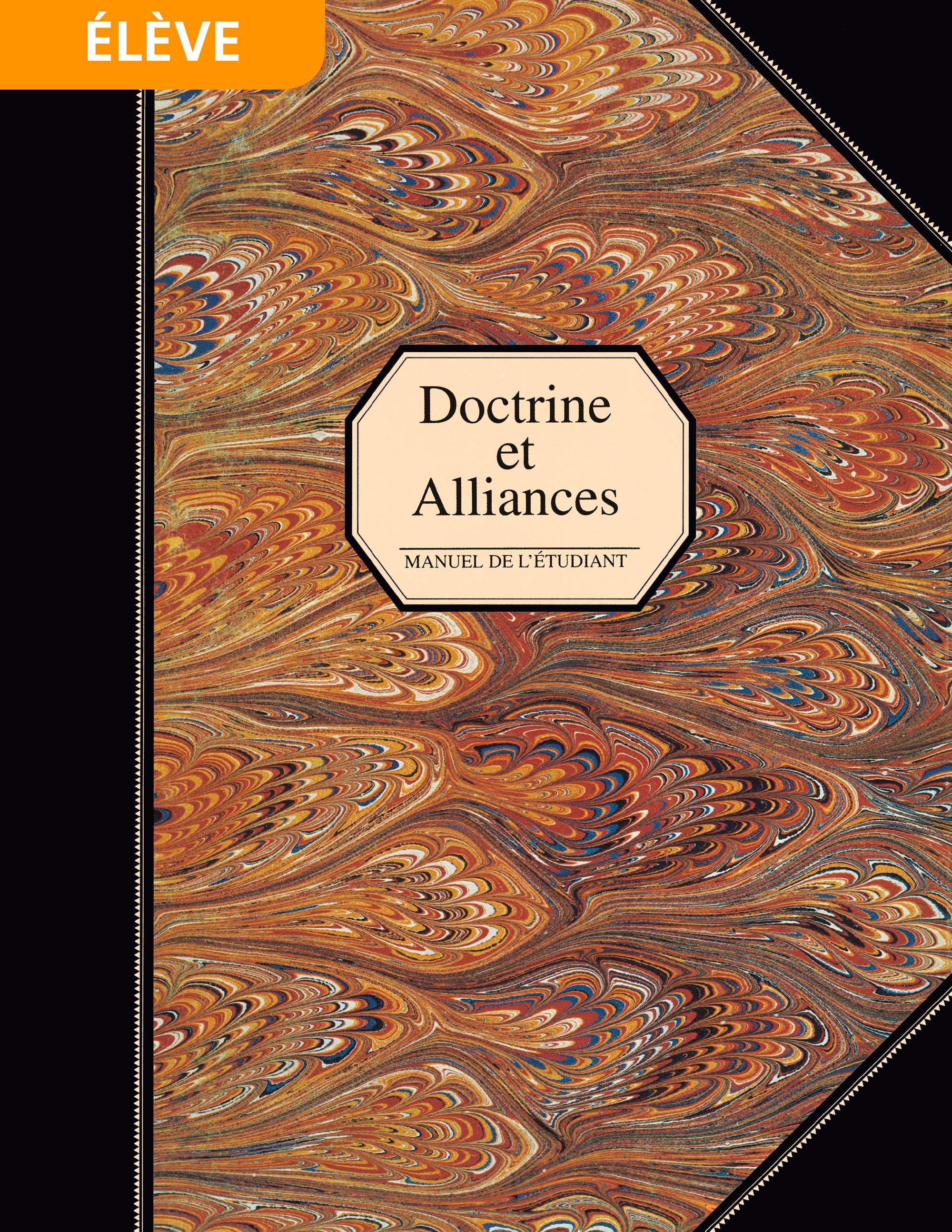 Doctrine Et Alliances Manuel De L Etudiant Religion 324 325 140