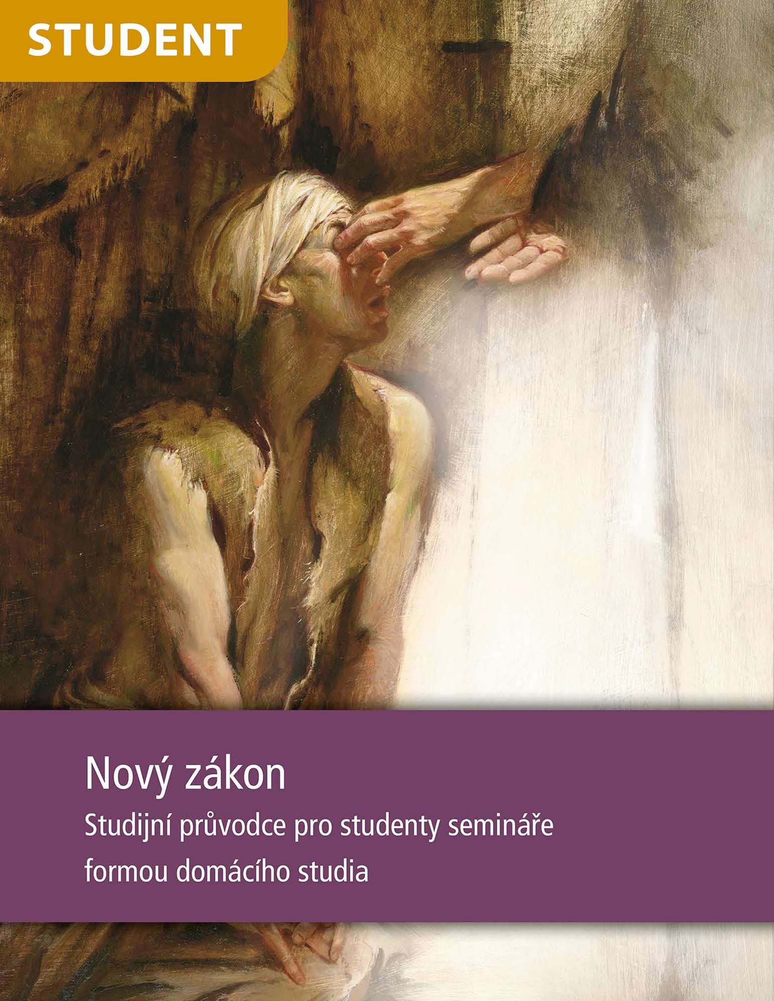 Nový zákon – studijní průvodce pro studenty semináře formou domácího studia